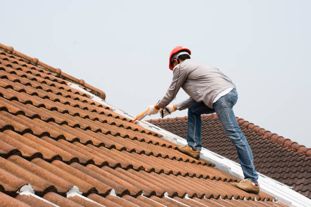 Best Roof Coating and Sealing  in Bellevle, IL