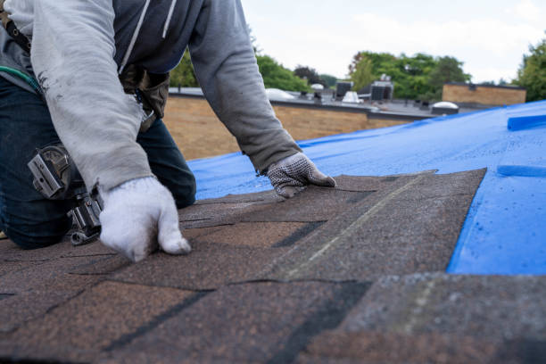 Best Metal Roofing Installation  in Bellevle, IL
