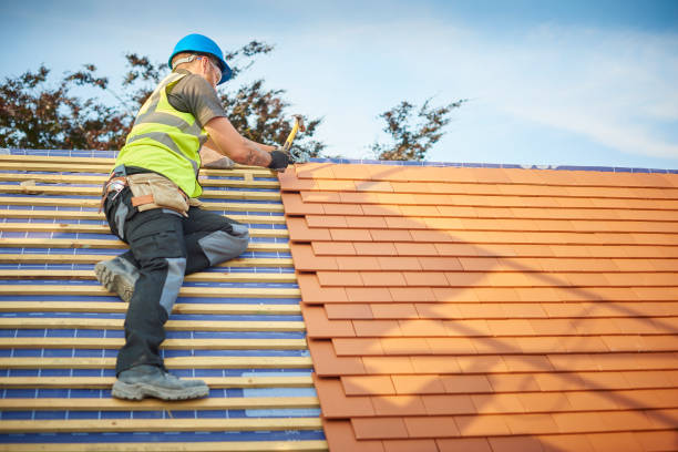 Best Sheet Metal Roofing  in Bellevle, IL